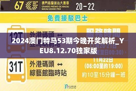 2024年澳门特马今晚,理论依据解释定义_set62.447