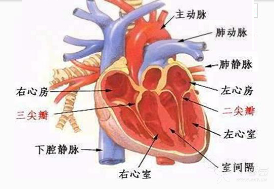 特种门窗 第162页