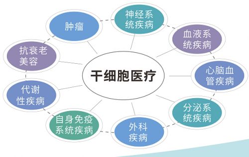 干细胞政策最新动态及其影响分析