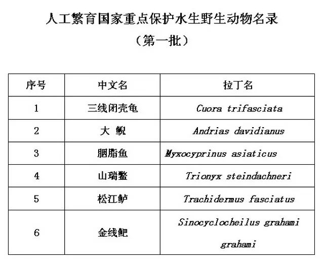 澳门正版资料大全免费歇后语,科学数据评估_RX版75.205