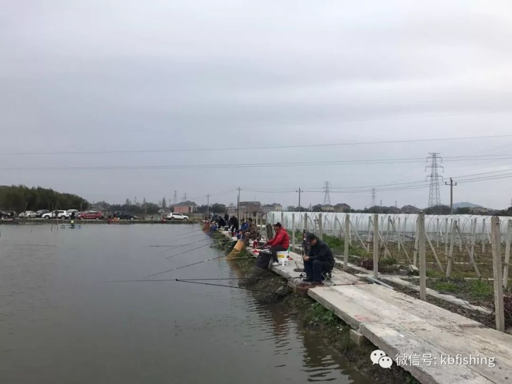 如皋野钓新地点探索与亲身体验