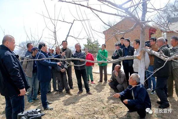 最新防雹网安装方法，高效便捷，保护无忧