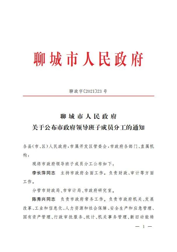 聊城副市长最新分工概述，职能划分与责任担当