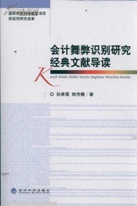 最新会计参考文献揭秘，会计领域的新发展探索